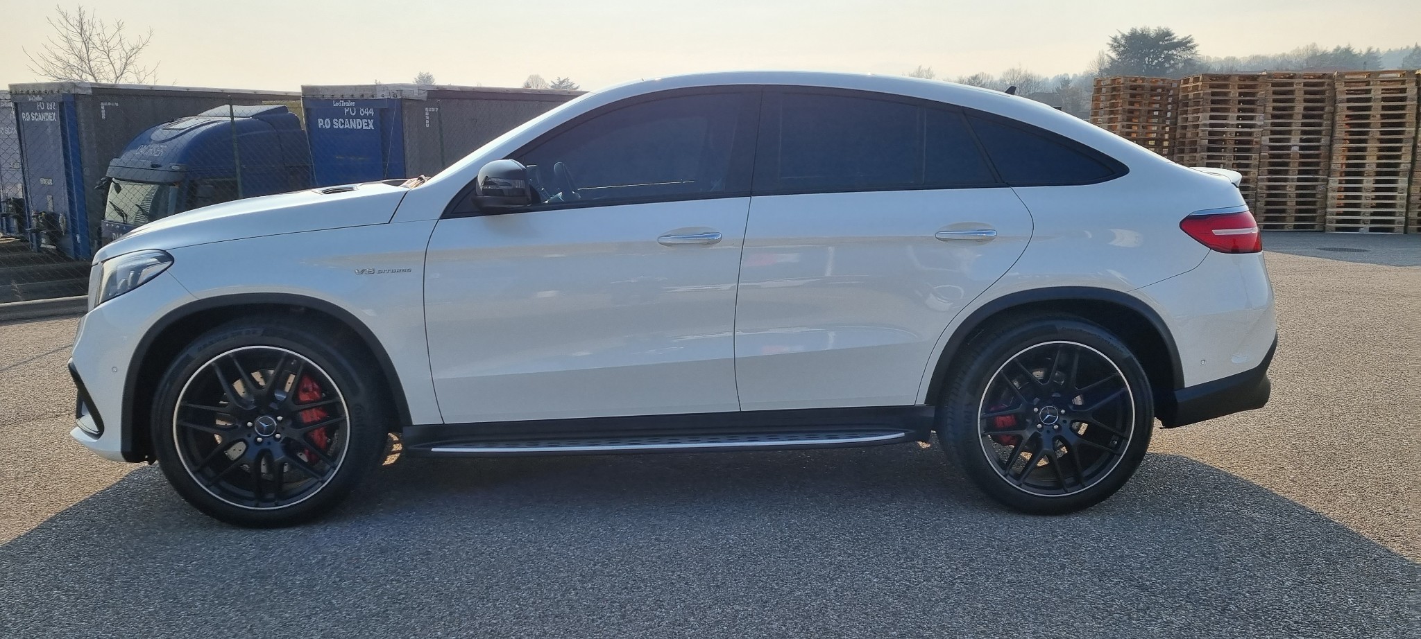 GLE 6